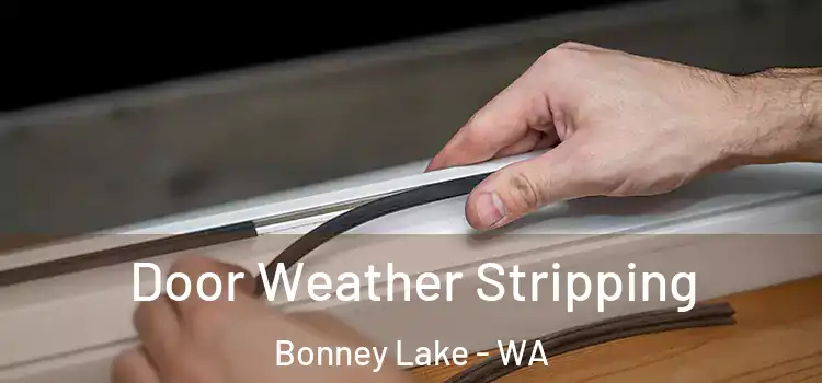 Door Weather Stripping Bonney Lake - WA