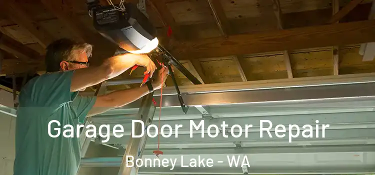  Garage Door Motor Repair Bonney Lake - WA