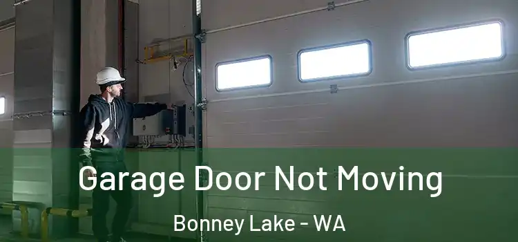  Garage Door Not Moving Bonney Lake - WA