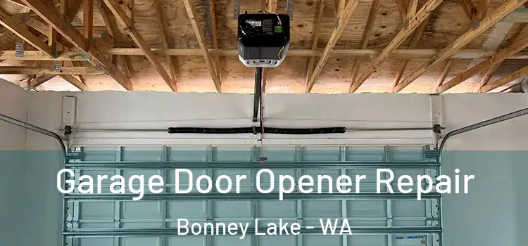  Garage Door Opener Repair Bonney Lake - WA