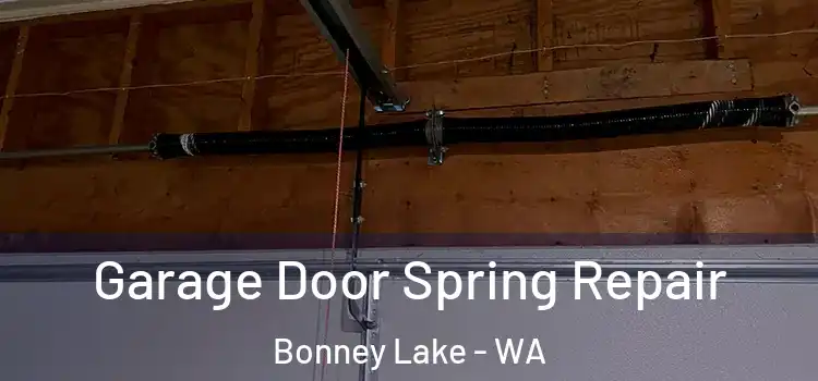  Garage Door Spring Repair Bonney Lake - WA
