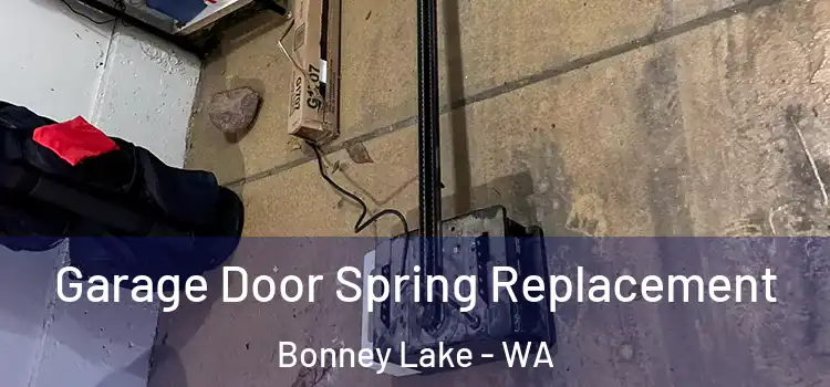  Garage Door Spring Replacement Bonney Lake - WA