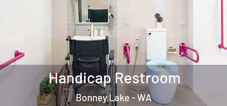 Handicap Restroom Bonney Lake - WA