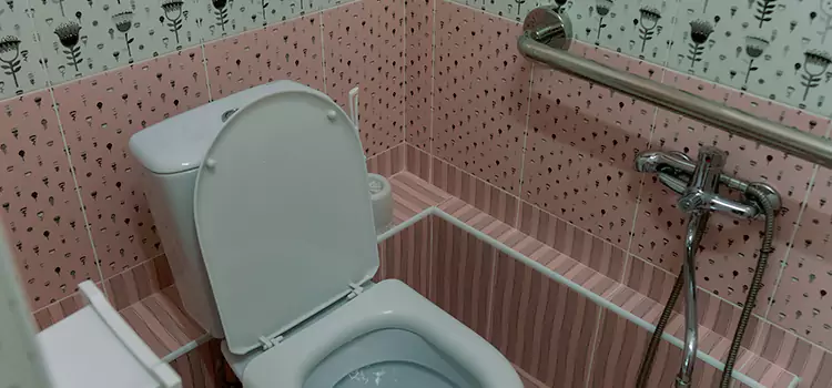Meeting Diverse Needs With Accessible Restroom Solutions in Bonney Lake, WA