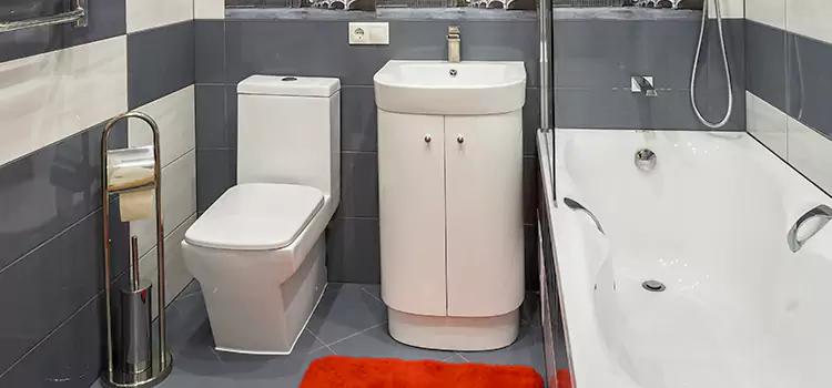 Hansgrohe Shaving Mirror Bonney Lake