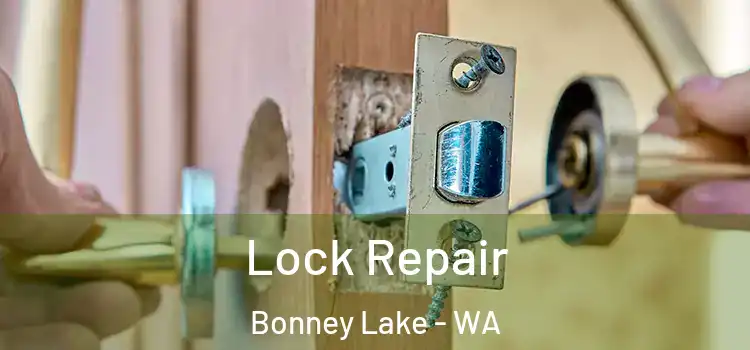 Lock Repair Bonney Lake - WA