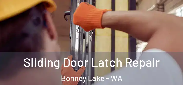  Sliding Door Latch Repair Bonney Lake - WA