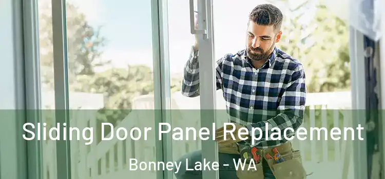  Sliding Door Panel Replacement Bonney Lake - WA