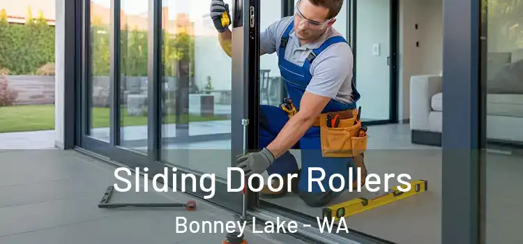 Sliding Door Rollers Bonney Lake - WA