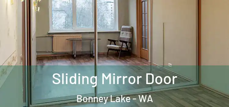  Sliding Mirror Door Bonney Lake - WA