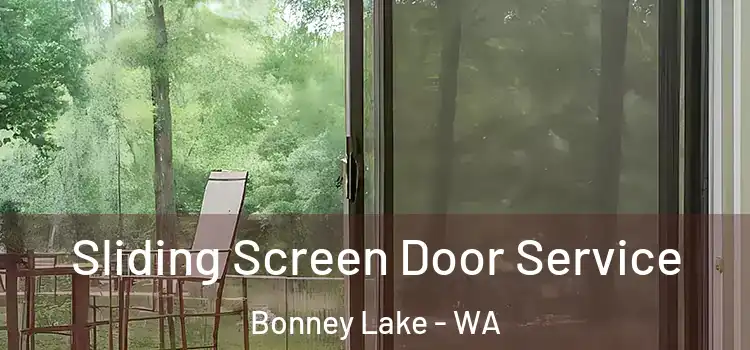 Sliding Screen Door Service Bonney Lake - WA